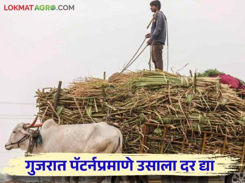 This year also create issue sugarcane frp one time 3700 rupees for farmers | एकरकमी ३७०० रुपये ऊसदरावरून यंदाही रान पेटणार; एफआरपी देण्यात कारखानदार मागे