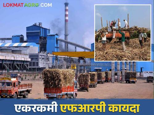 A major move to roll back the law of lump sum FRP as per Central Government's Sugar Cane Control Order | केंद्र सरकारच्या शुगर केन कंट्रोल ऑर्डरनुसार एकरकमी एफआरपीचा कायदा पूर्ववत करण्यासाठी मोठी हालचाल