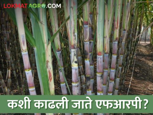 The rates of FRP are fixed according to the price of sugar production rate in this year's sugarcane crushing season | यंदाच्या ऊस गाळप हंगामातील साखरेच्या उताऱ्यानुसार एफआरपीचे दर निश्चित