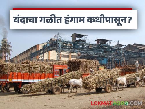 To prevent sugarcane from running out, the harvesting season will start soon this year; how will sugarcane get a fair price? | उसाची पळवापळवी होऊ नये म्हणून यंदा गळीत हंगाम लवकरच सुरु होणार; उसाला कसा मिळणार दर?