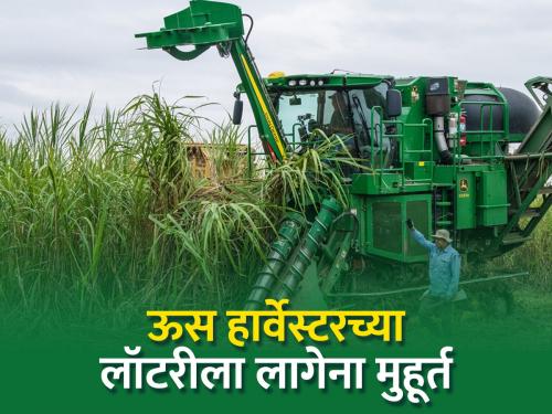 This year, however, a harvester is needed for sugarcane harvesting | यंदा मात्र ऊसतोड पर्यायासाठी हार्वेस्टरच पाहिजे