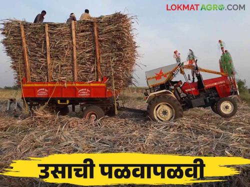 Eight sugar mills in Belgaon district have been set up and sugarcane catching is underway in Kolhapur border area | बेळगाव जिल्ह्यातील आठ साखर कारखाने सुरु कोल्हापूर सीमाभागात उसाची पळवापळवी