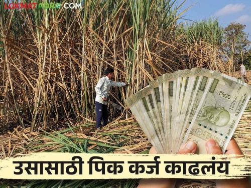 Chances of loan waiver for sugarcane farmers who take loans twice in the same year | एकाच वर्षांत दोन वेळा कर्जाची उचल करणाऱ्या ऊस उत्पादक शेतकऱ्यांना कर्जमाफी मिळण्याची शक्यता