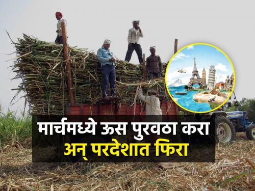 A unique reward scheme for farmers on assuming the possibility of sugarcane shortage for crushing | गाळपासाठी ऊस कमी पडण्याची शक्यता गृहीत धरून कारखानदारांची शेतकऱ्यांसाठी अनोखी बक्षीस योजना