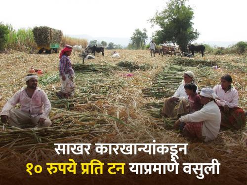 Assistance from sugar mills for sugarcane workers for their families, education of boys and girls | ऊस तोड कामगारांसाठी साखर कारखान्यांना द्यावी लागणार आर्थिक मदत