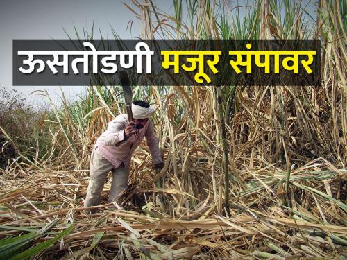 Sugarcane factories will have to face strikes before the harvesting season | गाळप हंगामापूर्वी कारखान्यांना करावा लागणार संपाचा सामना