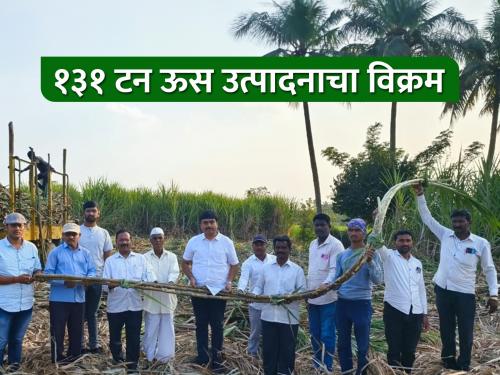Highest sugarcane production of 131 tonnes by Kundal farmers | कुंडलच्या शेतकऱ्यांकडून उच्चांकी १३१ टन उसाचे उत्पादन