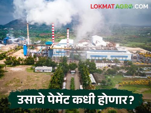 440 crores of 'FRP' stuck; Pay farmers' sugarcane by selling sugar or property | 'एफआरपी'चे ४४० कोटी अडकले; साखर किंवा मालमत्ता विक्री करून शेतकऱ्यांच्या उसाचे पेमेंट द्या