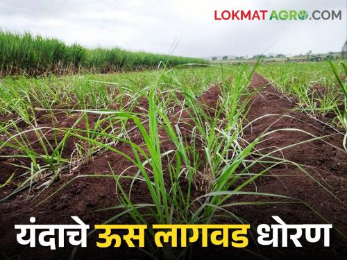 This unique decision was taken by this sugar factory by taking the farmers into confidence; Sugarcane will be cutting in time | या साखर कारखान्याने शेतकऱ्यांना विश्वासात घेऊन केला हा अनोखा निर्णय; ऊसतोड येईल वेळेत