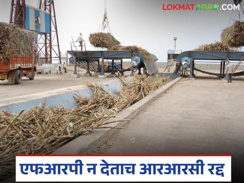 Government auditor recommends cancellation of RRC without paying farmers for sugarcane; orders for further inquiry | शेतकऱ्यांच्या उसाचे पैसे न देताच शासनाच्या ऑडिटरची आरआरसी रद्द करण्याची शिफारस; पुन्हा चौकशीचे आदेश