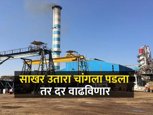 38 sugar factories in Solapur district asked permission for crushing sugarcane | सोलापूर जिल्ह्यात ३८ कारखान्यांनी मागितली गाळपाला परवानगी