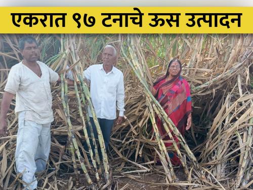 Post-retirement secondary school teacher engaged in sugarcane farming | सेवानिवृत्तीनंतर माध्यमीक शिक्षकाची ऊस शेतीत मशागत