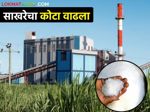 Sugar factories are obliged to sell 90 percent of their quota of sugar | साखर कारखान्यांनी आपल्या कोट्यातील ९० टक्के साखर विक्री करणे बंधनकारक