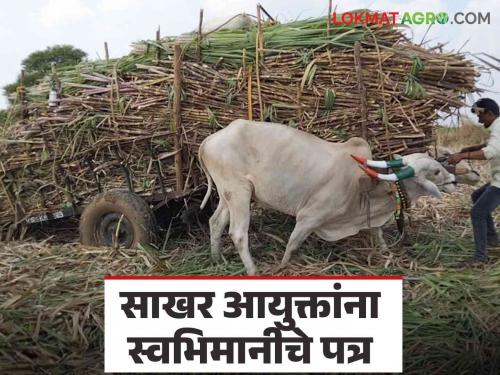 Take decision within fifteen days regarding first installment of sugarcane crushing an otherwise severe agitation warning | पहिल्या उचलबाबत पंधरा दिवसांत निर्णय घ्या अन्यथा तीव्र आंदोलनाचा इशारा