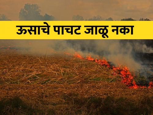 Do not burn crop residues, bury them in the soil | पिकांचे अवशेष जाळू नका, मातीत गाडा