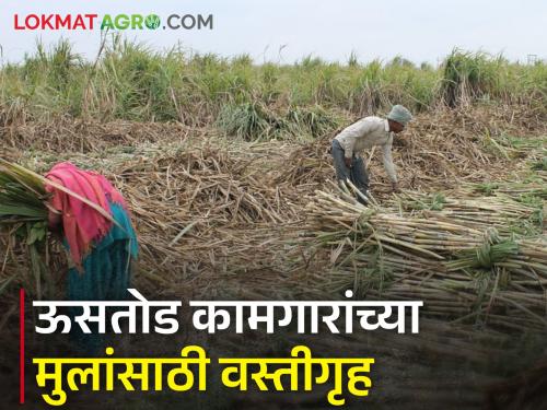 Latest News Hostels for continuing education of children of sugarcane workers | ऊसतोड कामगारांच्या मुलांसाठी वस्तीगृह, गळती रोखण्यासाठी महत्वाचे!