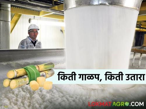 How much sugar cane is crushed in the state? how much sugar recovery | Sugarcane Crushing Maharashtra राज्यात किती ऊस गाळप अन् किती साखर उतारा