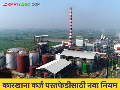 The entire board of directors is now responsible for the repayment of sugar factories loans | साखर कारखान्यांच्या कर्ज परतफेडीसाठी आता संपूर्ण संचालक मंडळ जबाबदार