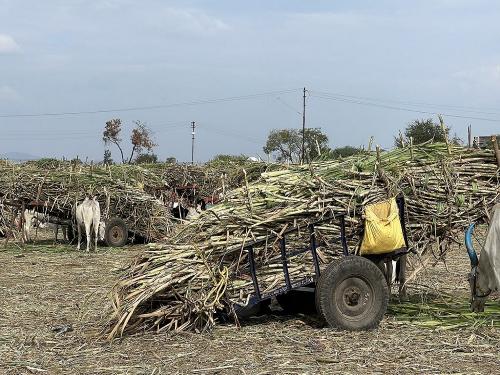 No filter license will be given without paying the bills of the farmers | शेतकऱ्यांची बिले दिल्याशिवाय गाळप परवाना देणार नाही