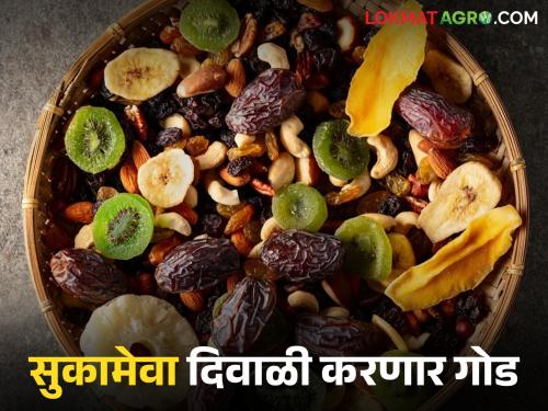 Dussehra-Diwali will be even sweeter, prices of dry fruits have come within reach; Read in detail | दसरा-दिवाळी होणार आणखी गोड, सुकामेव्याचे दर आले आवाक्यात; वाचा सविस्तर