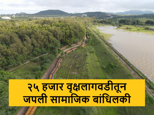 Plantation of 25 thousand trees of Indian species in Gangapur Dam area by Sula vineyard | गंगापूर धरण परिसरात भारतीय प्रजातीच्या २५ हजार वृक्षांची लागवड