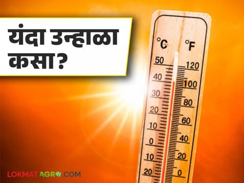 How will this summer be compared to last year? What does the weather forecast say? | मागील वर्षीच्या तुलनेत यंदा कसा राहील उन्हाळा? काय सांगतोय हवामान अंदाज