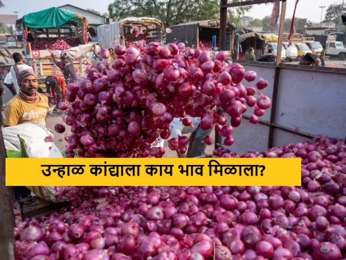 Latest News Good price for summer onion in Ramtek Bazar yard check todays market price | Onion Market : रामटेक बाजार समितीत उन्हाळ कांद्याला चांगला भाव, असे आहेत आजचे दर 