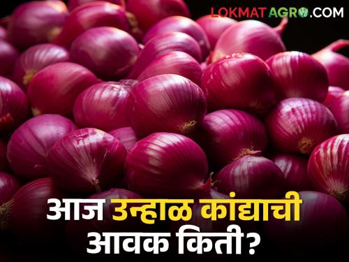 Onion Market: The arrival of red summer onion decreased, Lasalgaon got such a market price? | Onion Market : लाल उन्हाळ कांद्याची आवक घटली, लासलगावला असा बाजारभाव मिळाला? 