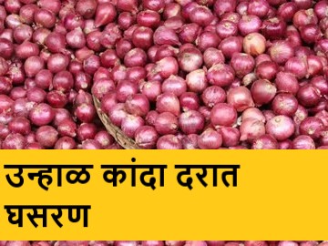 latest News Fall in summer onion price in morning session in Lasalgaon-Vinchur market | सकाळ सत्रात उन्हाळ कांदा दरात घसरण, लासलगाव-विंचुर  बाजार समितीत असा भाव मिळाला?