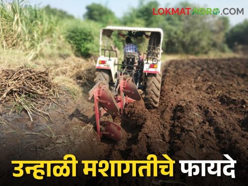 Here are four important benefits of summer tillage | उन्हाळ्यात केलेल्या जमीन मशागतीचे हे आहेत चार फायदे