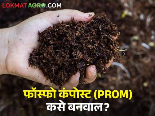 Simple method of making super phospho compost organic phosphorus rich fertilizer at home level | स्फुरदयुक्त सेंद्रिय खत सुपर फॉस्फो कंपोस्ट घरच्या घरी बनविण्याची सोपी पद्धत