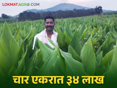 This young farmer made a record by producing turmeric an average of 42 quintals per acre for five consecutive years | सलग पाच वर्षे सरासरी एकरी ४२ क्विंटल हळद उत्पादन घेऊन या युवा शेतकऱ्याने केला विक्रम