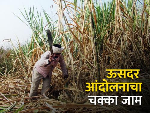 3500 per tonne for sugarcane with a difference of Rs.400. demand to pay | ४०० रुपये फरकासह उसाला प्रतिटन ३५०० रु. देण्याची मागणी