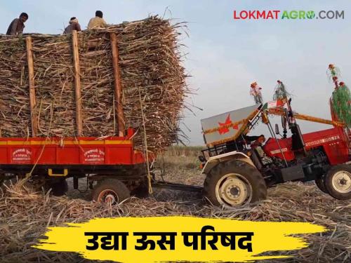 Swabhimani us parishad : 23rd sugarcane council of Swabhimani tomorrow, attention of farmers towards the decision | Swabhimani Us Parishad : स्वाभिमानी ची उद्या २३ वी ऊस परिषद शेतकऱ्यांचे निर्णयाकडे लक्ष