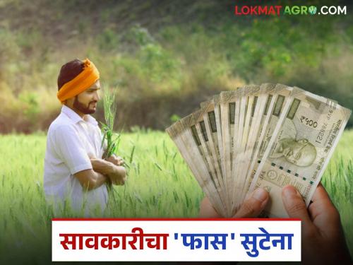 Farmer Loan: latest news Read in detail why farmers have to go to the moneylender's door for a loan | Farmer Loan: शेतकऱ्यांना कर्जासाठी सावकाराच्या दारी का जावे लागते वाचा सविस्तर