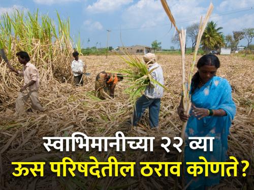 A lump sum of Rs 3500 per tonne should be given for the current sugarcane crushing season | चालू गळीत हंगामासाठी एकरकमी ३५०० रुपये प्रतिटन पहिली उचल देण्यात यावी