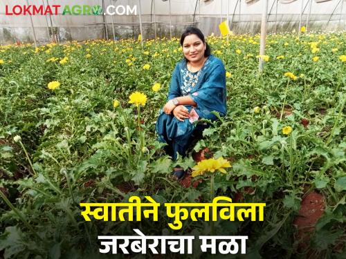 Swati is increasing the popularity of floriculture in polyhouse in the rice farming belt | भात शेतीच्या पट्ट्यात पॉलीहाऊसमधील फुलशेती वाढवतेय स्वातीची ख्याती