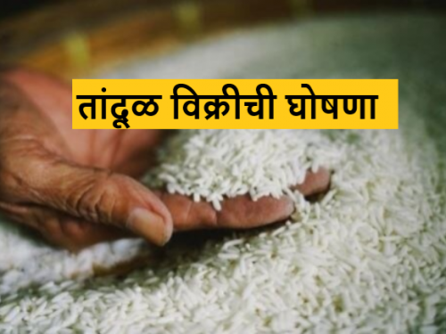 Latest News Agriculture News Sale of rice under open market sale scheme by fci appeal to buyers  | Agriculture News : खुल्या बाजार विक्री योजनेंतर्गत तांदूळ विक्री, खरेदीदारांना आवाहन 