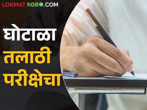 Talathi recruitment exam scam; Notice to Govermenet | तलाठी भरती परीक्षा घोटाळा; सरकारला नोटीस