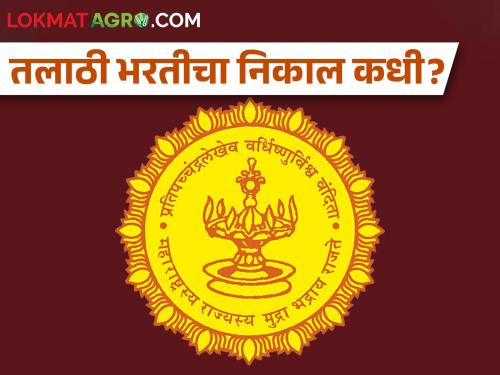 The result of Talathi recruitment is possibility to be out within a week | तलाठी भरतीचा निकाल आठवडाभरात लागण्याची शक्यता