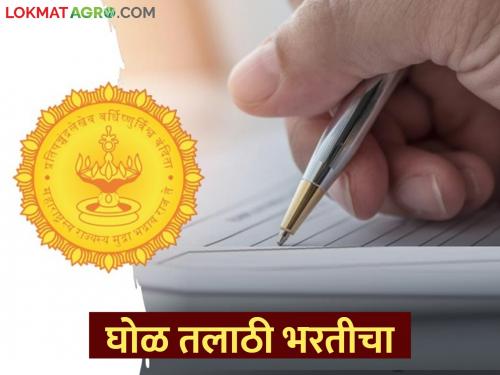 Talathi recruitment solution; Merit list of Talathi recruitment will be announced again | तलाठी भरती घोळ; तलाठी भरतीची गुणवत्ता यादी नव्याने जाहीर होणार