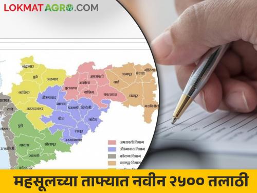 Talathi recruitment; Two and a half thousand posts of talathis have been filled in 23 districts in the state | तलाठी भरती; राज्यात २३ जिल्ह्यांमध्ये भरली तलाठ्यांची अडीच हजार पदे