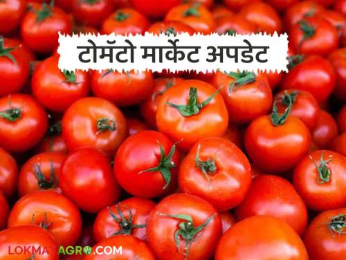 Latest News Tomato Market price of tomato carrot in Pimpalgaon market see details | Tomato Market : पिंपळगाव मार्केटला टोमॅटोला काय भाव मिळाला? वाचा आजचे बाजारभाव