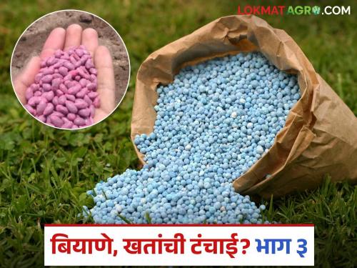 latest news Kharif Season: Shortage crisis before Kharif; Will sowing be done on time? Read in detail | Kharif Season : खरीपाआधीच टंचाईचे संकट; वेळेवर पेरणी होणार का? वाचा सविस्तर