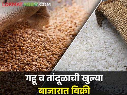 Food Corporation of India launches auction for sale of wheat and rice | भारतीय अन्न महामंडळाकडून गहू आणि तांदूळ विक्रीसाठी लिलाव सुरु