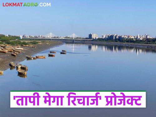 latest news Tapi Mega Recharge Project: Mahapanchayat on Tapi Mega Recharge Project; Know what is the reason | Tapi Mega Recharge Project : तापी मेगा रिचार्ज परियोजनेवर महापंचायत; जाणून घ्या काय आहे कारण
