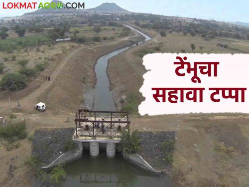 Tembhu Project : Due to the sixth phase of Tembhu, 18 thousand areas will be irrigated and 54 villages will get water | Tembhu Project : टेंभूच्या सहाव्या टप्प्यामुळे १८ हजार क्षेत्र ओलिताखाली मिळणार ५४ गावांना पाणी