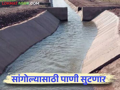 Water from Tembhu, Mhaisal scheme to be released for Sangola taluka from April 10 | सांगोला तालुक्यासाठी येत्या १० एप्रिलपासून टेंभू, म्हैसाळ योजनेचे पाणी सोडणार