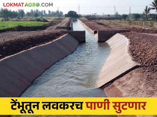 Tembhu Project : Man Khatav and Sangola talukas will get 1 TMC water from Tembhu | Tembhu Project : माण खटाव व सांगोला तालुक्याला टेंभूचे १ टीएमसी पाणी मिळणार