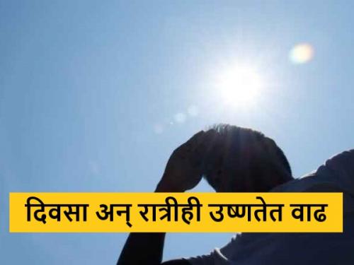 latest News temperature high Day night time heat in some districts of Maharashtra | Weather Report : महाराष्ट्रात दिवसा अन् रात्रीही उष्णतेची काहिली, कसं असेल तापमान 